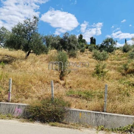 Tirane, shes toke 4.000 m² 130 Euro/m2 (Sauk)