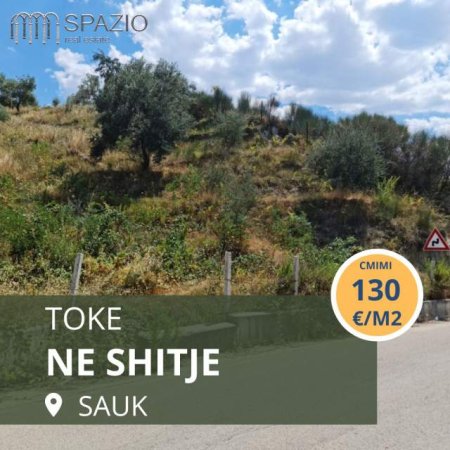 Tirane, shes toke 4.000 m² 130 Euro/m2 (Sauk)