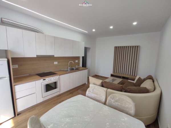 Apartament Me Qera 2+1 Ne Rrugen Kongresi I Manastirit (ID B221202) Tirane.