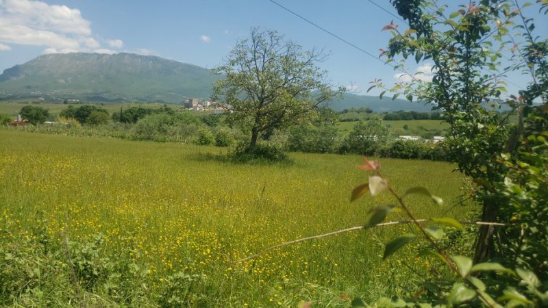 Tirane, shitet , , 5,000 m2 650,000 € 