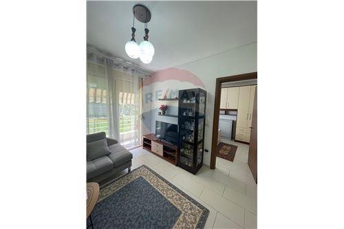 Tirane, jepet me qera 1+1, Kati 1, 70 m2 400 € (Kopshti Zoologjik - Kopshti Zoologjik, Shqipëri)