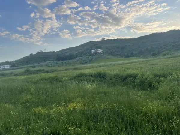 Tirane, shitet toke, 4,700 m2 144,000 € ne (Fshati Marqinet)