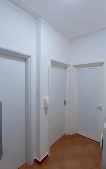 Tirane, jepet me qera apartament 1+1, Kati 2, 58 m² 500 € (liqeni artificial)