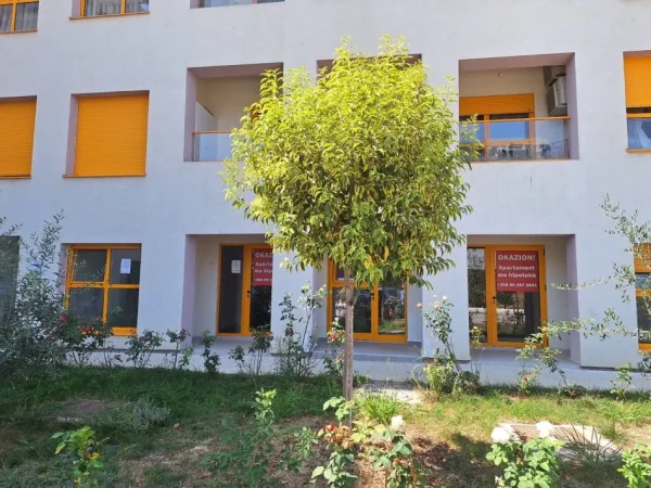 Tirane, ambjent biznesi , Kati 1, 33 m² 300 € 