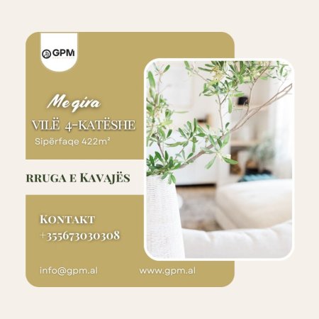 Tirane, jepet me qera Vile , , 422 m² 5,000 € (Rruga e Kavajes)