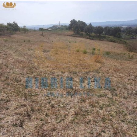 Golem, shes truall 15.000 m² 450.000 Euro (Agonas)