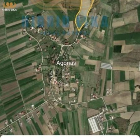 Golem, shes truall 15.000 m² 450.000 Euro (Agonas)