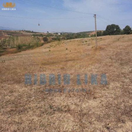 Golem, shes truall 15.000 m² 450.000 Euro (Agonas)