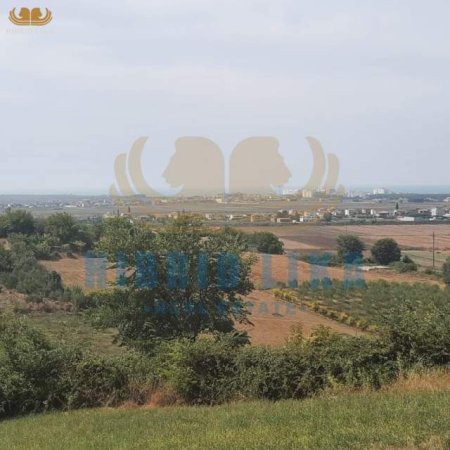 Golem, shes truall 15.000 m² 450.000 Euro (Agonas)