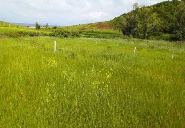 Durres, shes toke 2.000 m² 3.000.000 Leke