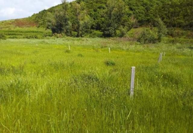 Durres, shes toke 2.000 m² 3.000.000 Leke