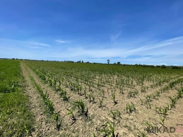 shitet , , 76,000 m² 228,000 €