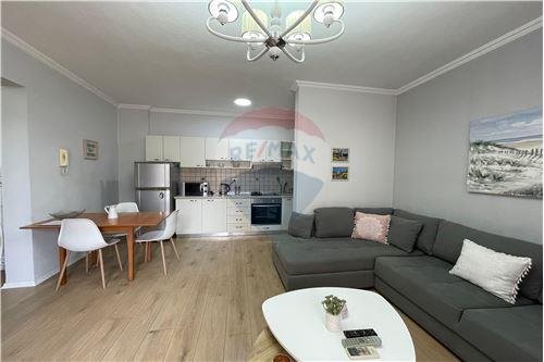 Tirane, jepet me qera apartament 1+1+Ballkon, Kati 2, 80 m² 550 € (Rruga e Elbasanit)