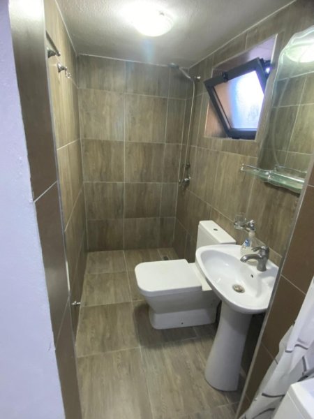 Tirane, jepet me qera Vile 1+1, Kati 1, 60 m² 350 € (Selite)