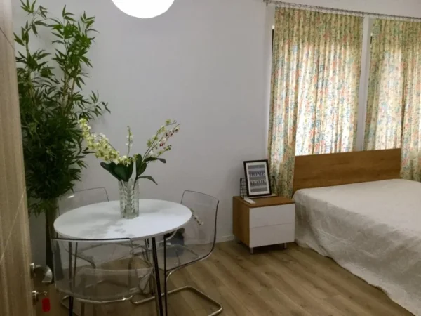 Tirane, jepet me qera garsonier 1+1, Kati 1, 350 € (rruga Rramazan Bogdani)