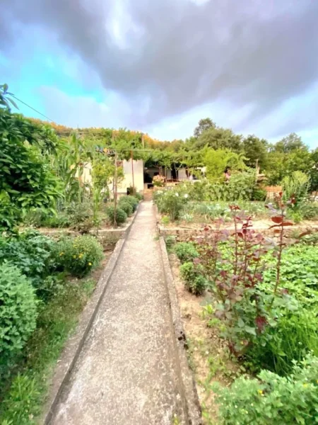 SHITET: VILE + Truall E Veçantë 📍 Ibë Të Poshtme 3+1+2wc ( 18 Min Nga Qendra Tiranës) -- 113,500€****