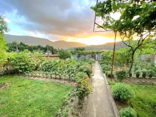 SHITET: VILE + Truall E Veçantë 📍 Ibë Të Poshtme 3+1+2wc ( 18 Min Nga Qendra Tiranës) -- 113,500€****