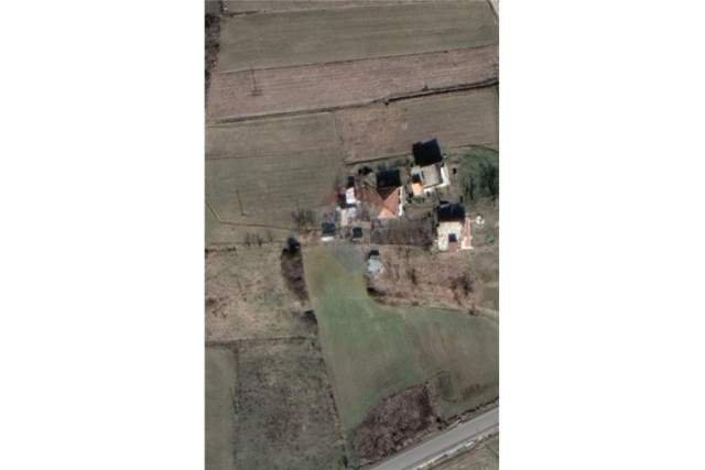 Tirane, shes toke 3.000 m² 35 Euro/m2 (Peze)