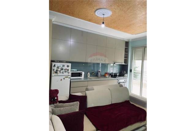 Tirane, jepet me qera apartament 1+1 Kati 1, 72 m² 350 Euro (kopshti zologjik)