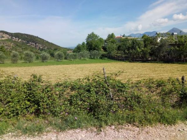Tirane, shes toke 1.400 m² 3.000 Leke/m2