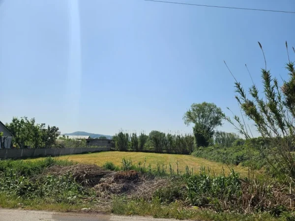 Tirane, shes truall  1,600 m² me cmim 90 euro/m2 i diskutueshem(Laknas shume prane rruges kryesore per ne Rinas)