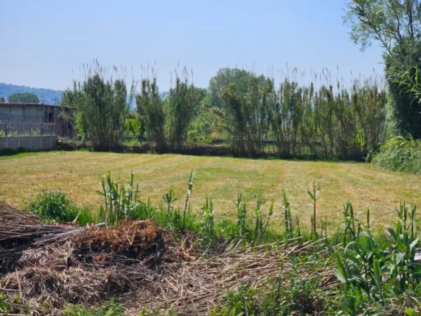 Tirane, shes truall  1,600 m² me cmim 90 euro/m2 i diskutueshem(Laknas shume prane rruges kryesore per ne Rinas)