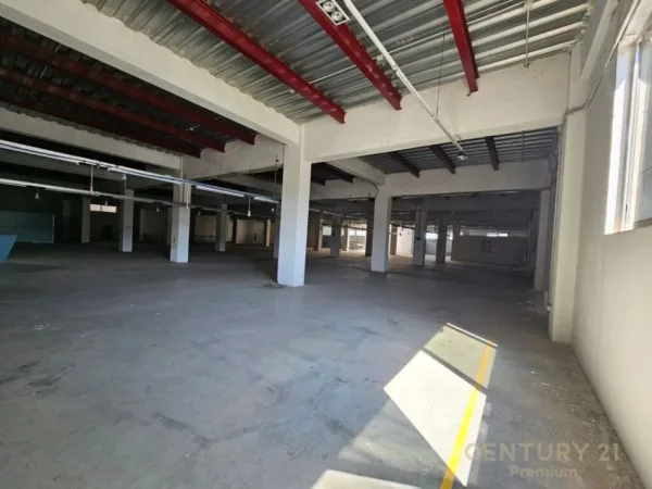 Tirane, jap me qera ambjent biznesi , , 3,181 m² 4,800 € (Mezez)