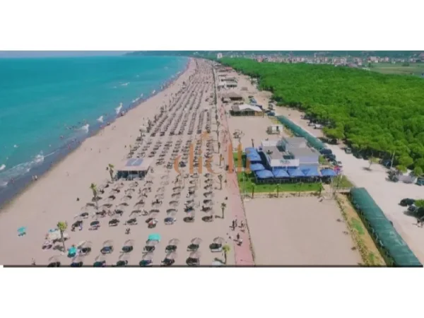 Kavaje, shitet toke , , 3,200 m² 278,000 € (VILE-BOSHTOVE, Kavajë.)