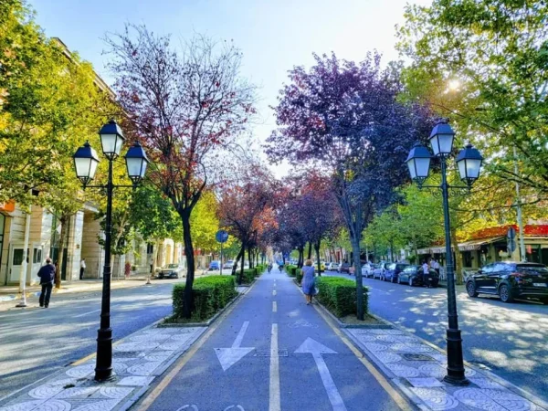 Tirane, jepet me qera ambjent biznesi Kati 1, 30 m² 350 € (Rruga Kavajes