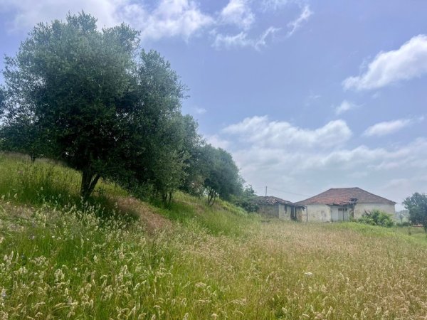 Durres, shitet shtepi 1+1 Kati 1, 2,800 m² 115,000 € (Maminas)