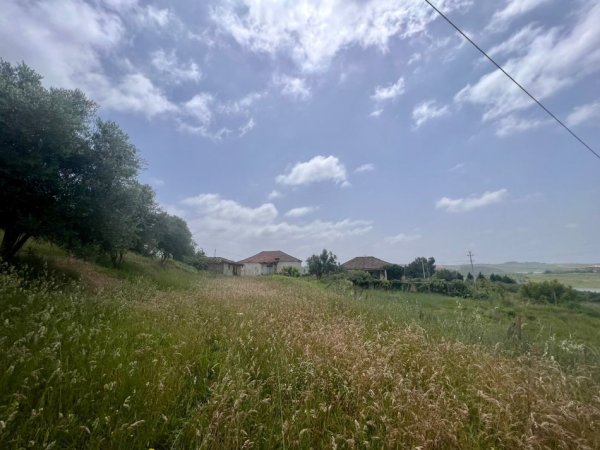 Durres, shitet shtepi 1+1 Kati 1, 2,800 m² 115,000 € (Maminas)