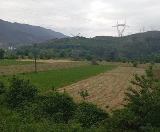 Tirane, shitet toke , 1,400 m² 91,000 € 