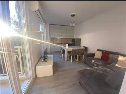 Tirane, jepet me qera apartament 1+1+Ballkon Kati 2, 50 m² 400 € (ALI DEMI)
