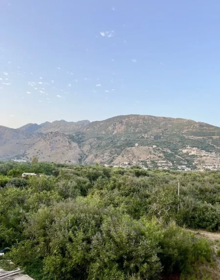 Himare, shitet toke ne bregdet , 2,340 m² 725,000 € (Buze Deti)