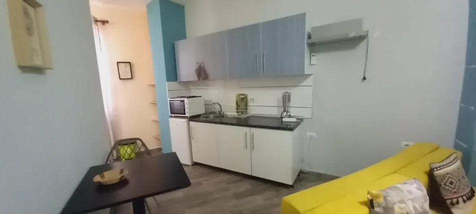 Tirane, jepet me qera apartament 1+1 Kati 2, 55 m² 400 € (APARTAMENT ME QIRA 1+1 Rruga E Elbasanit)