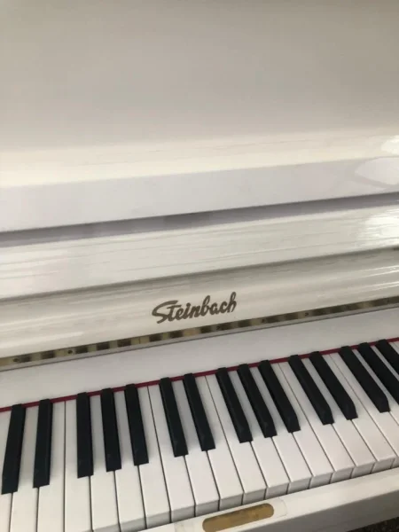 Tirane, shes Piano 3,500 €