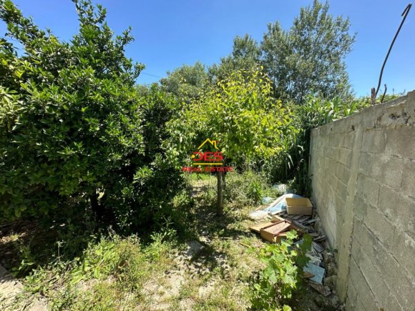 Fier, shitet shtepi 1+1 Kati 1, 200 m² (Sheq i Mdhe)