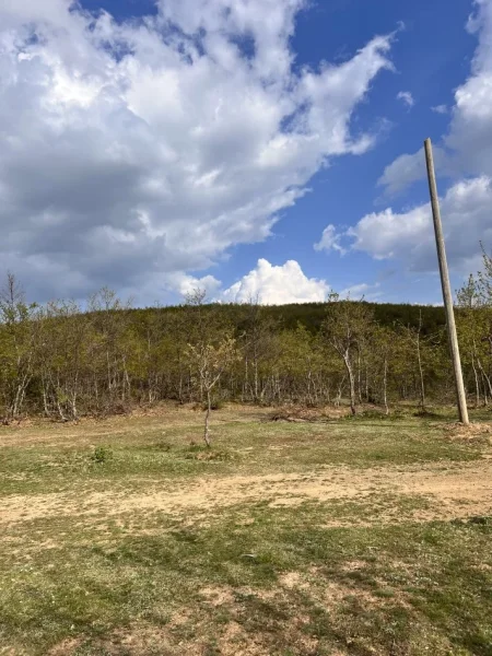 Prishtine, shes tok vend malore, 50 ari (Lagja myrtaj prishtine mramor)