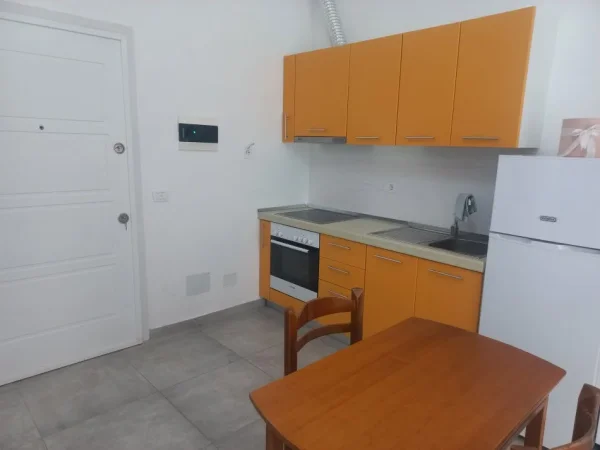 Tirane, jepet me qera garsonier 1+1 Kati 2, 40 m² 220 € (Stacioni i fundit i uzines autraktor,afer News 24)