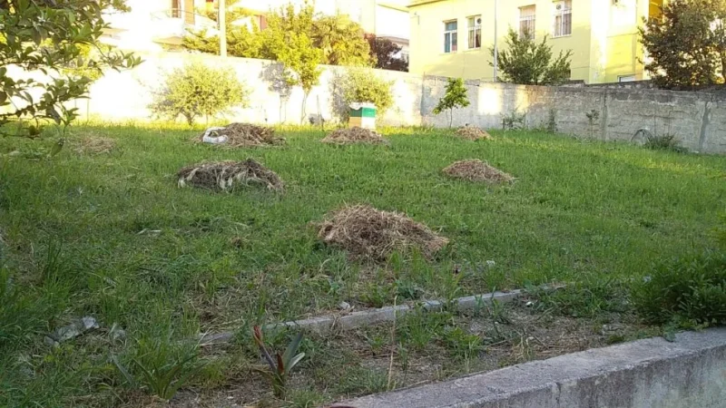 Vlore, shes truall ne bregdet , 600 m² 265.000 € 