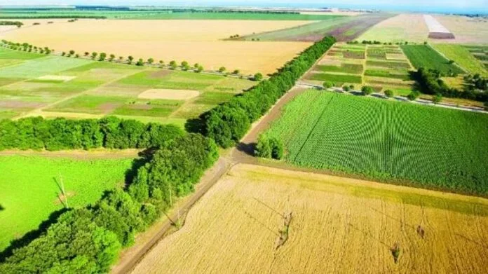 Tirane, jepet me qera toke , 3.810 m² (KASHAR)