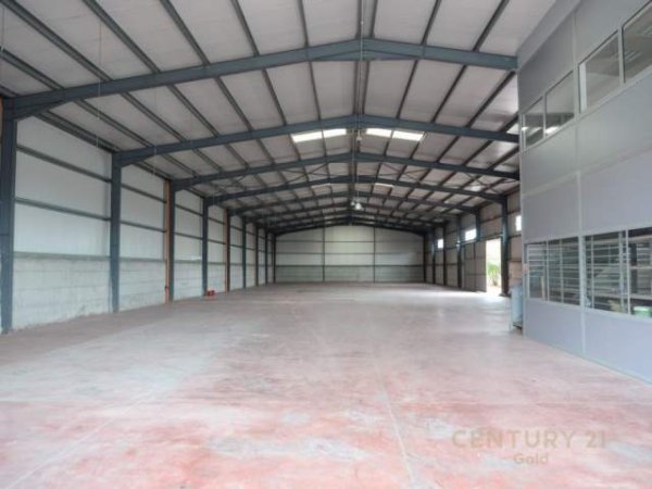 Fier, jap me qera magazine Kati 0, 1.800 m² 2.500 Euro (Portrez,Fier)