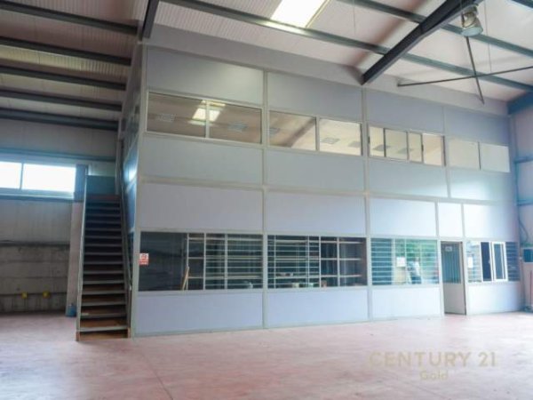 Fier, jap me qera magazine Kati 0, 1.800 m² 2.500 Euro (Portrez,Fier)