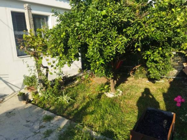 Tirane, shitet shtepi 2+1+A+BLK Kati 1, 109 + 509m² 195000 Euro (Djaleria Shqiptare)