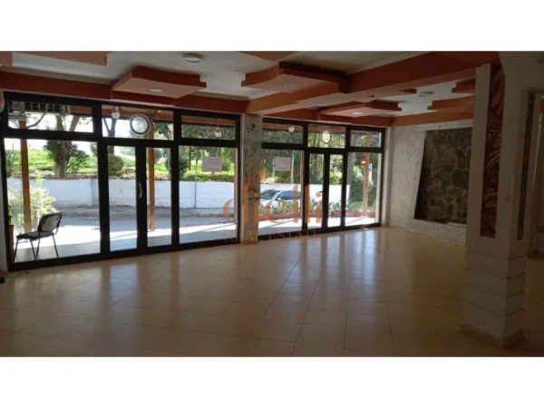 Tirane, jepet me qera zyre Kati 0, 64 m² 500 € 