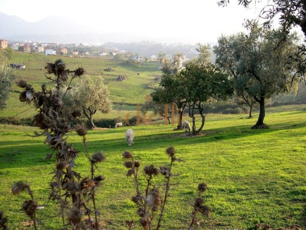 Tirane, shitet apartament 3+1 , 152 m² 221.531 € 