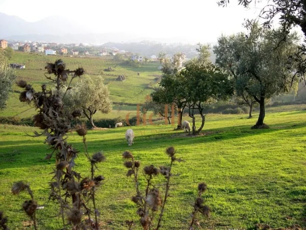 Tirane, shitet apartament 3+1 , 152 m² 221.531 € 