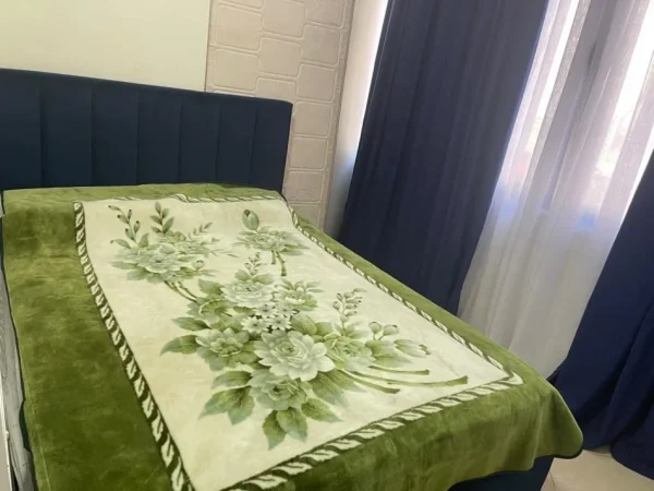 Tirane, jepet me qera apartament 2+1+Ballkon Kati 2, 68 m² 400 € (rruga Mikel Maruli)