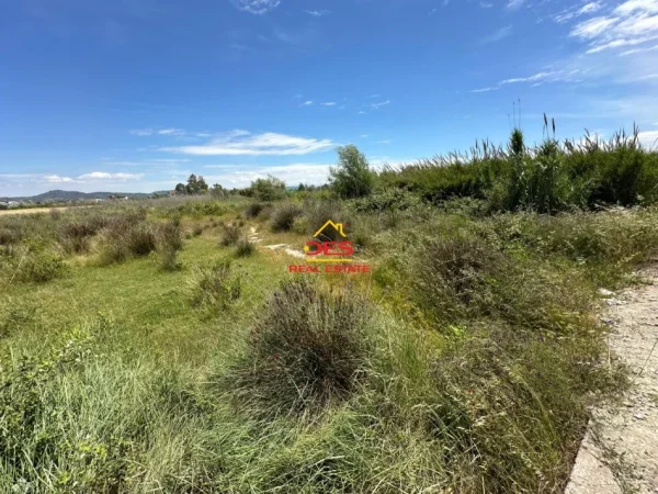 Vlore, shitet toke , 10.000 m² 250.000 € (Novosel)