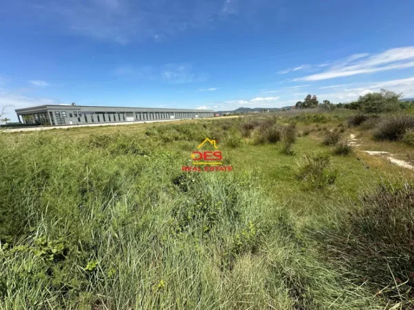 Vlore, shitet toke , 10.000 m² 250.000 € (Novosel)